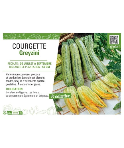 COURGETTE GREYZINI