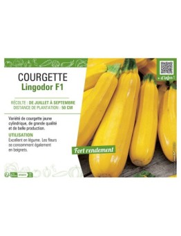 COURGETTE LINGODOR F1