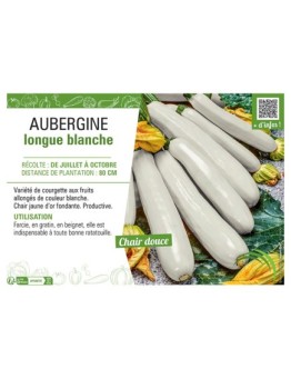 COURGETTE LONGUE BLANCHE