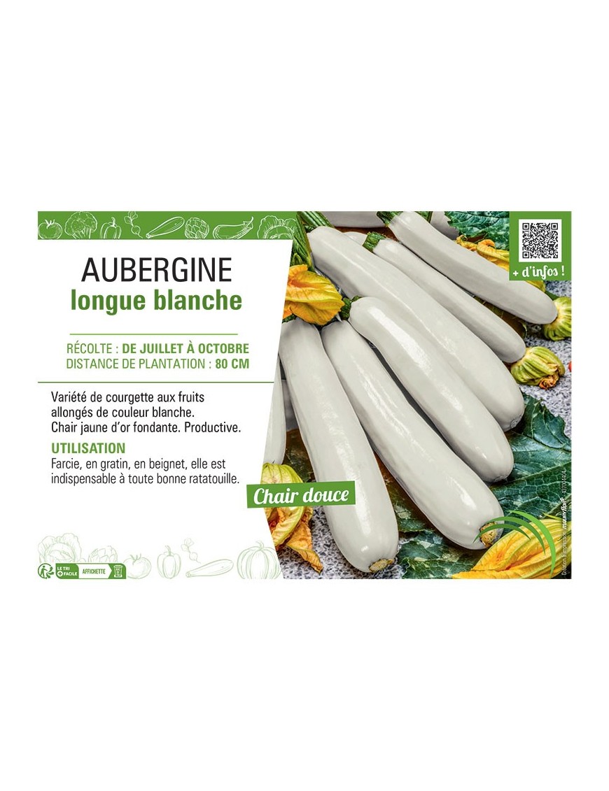 COURGETTE LONGUE BLANCHE