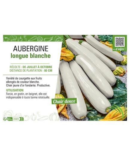 COURGETTE LONGUE BLANCHE