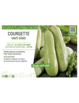 COURGETTE VERT CLAIR