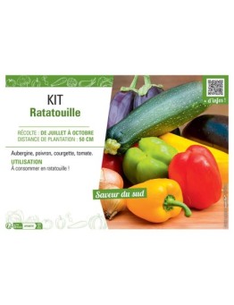 KIT RATATOUILLE
