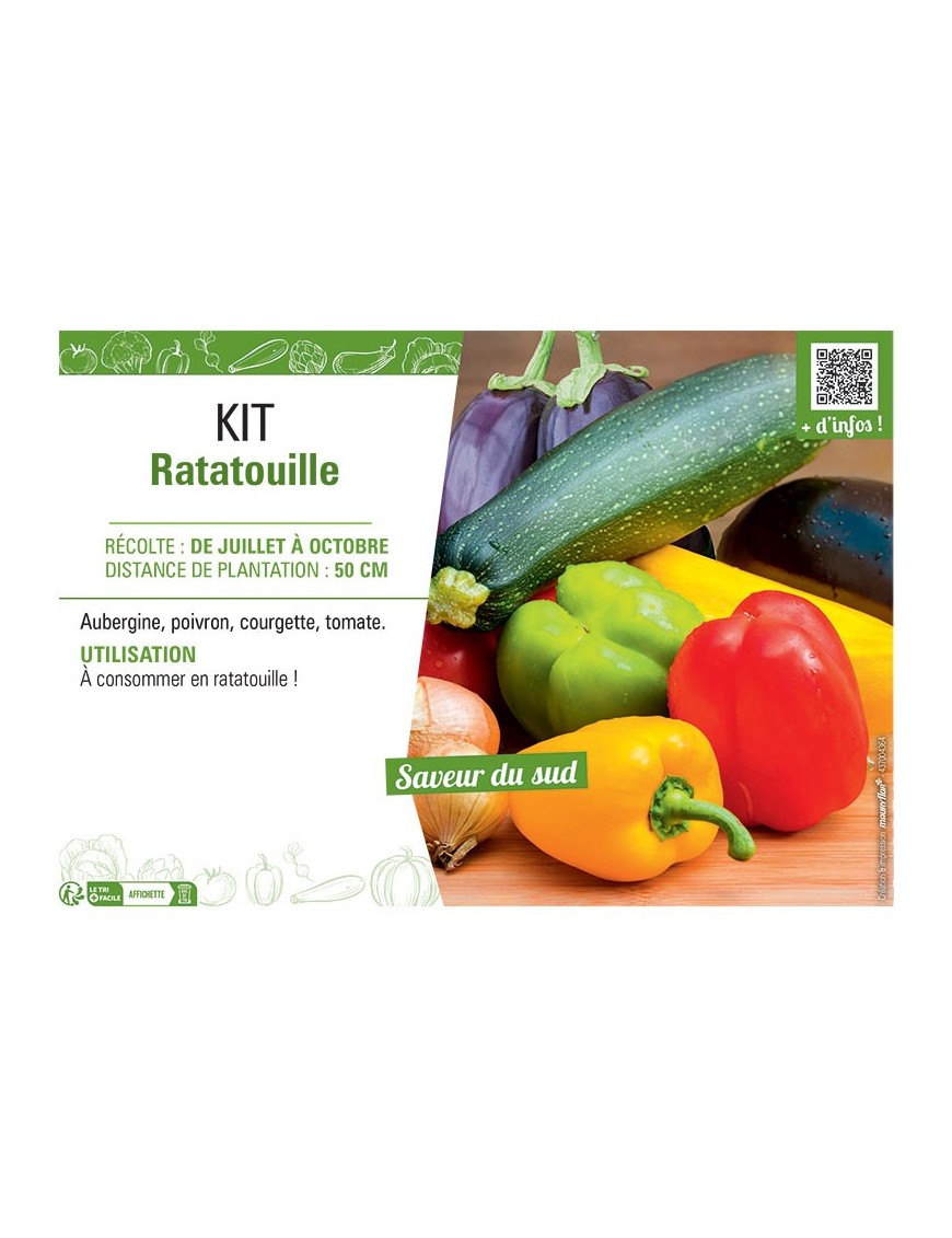 KIT RATATOUILLE