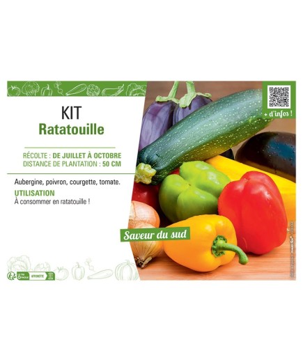 KIT RATATOUILLE