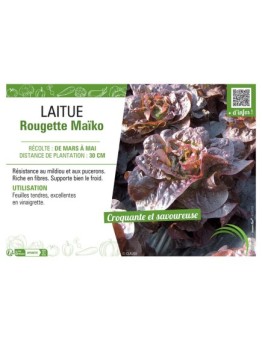 LAITUE ROUGETTE MAÏKO