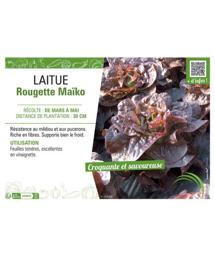 LAITUE ROUGETTE MAÏKO