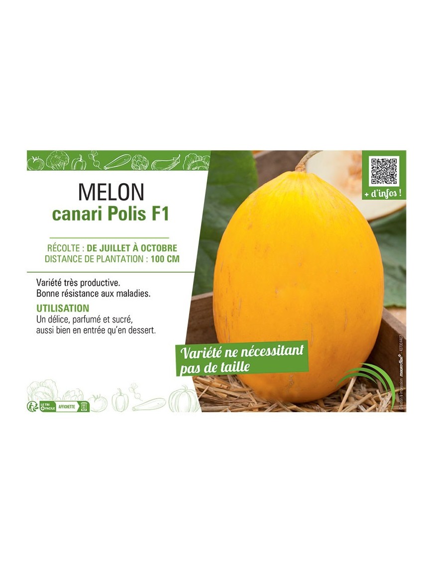 MELON CANARI POLIS F1