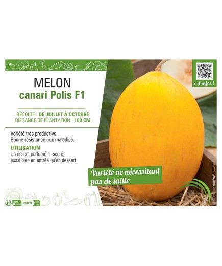 MELON CANARI POLIS F1