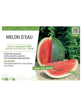 MELON D'EAU