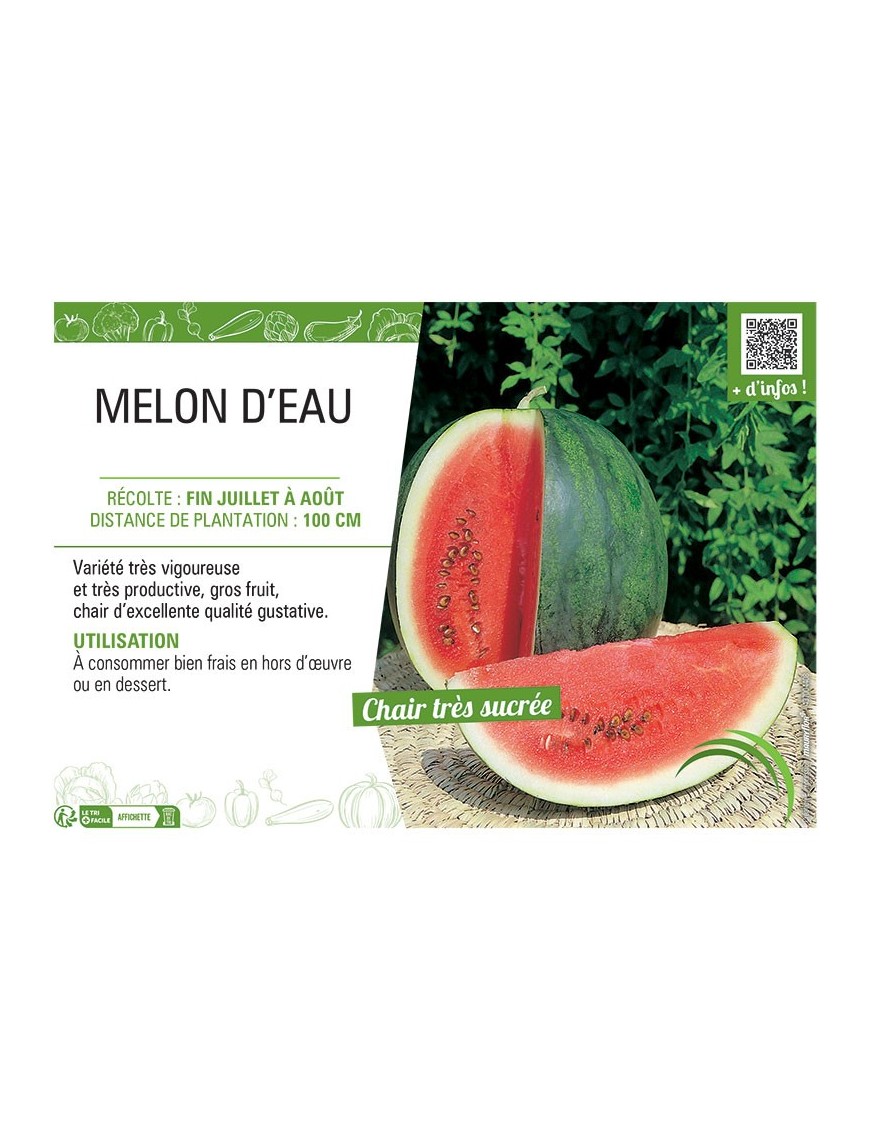 MELON D'EAU