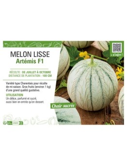 MELON LISSE ARTEMIS F1