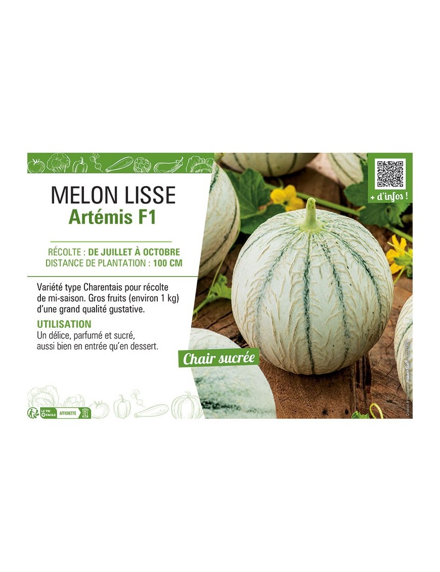 MELON LISSE ARTEMIS F1