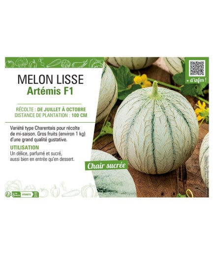 MELON LISSE ARTEMIS F1