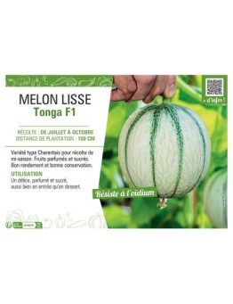 MELON LISSE TONGA F1