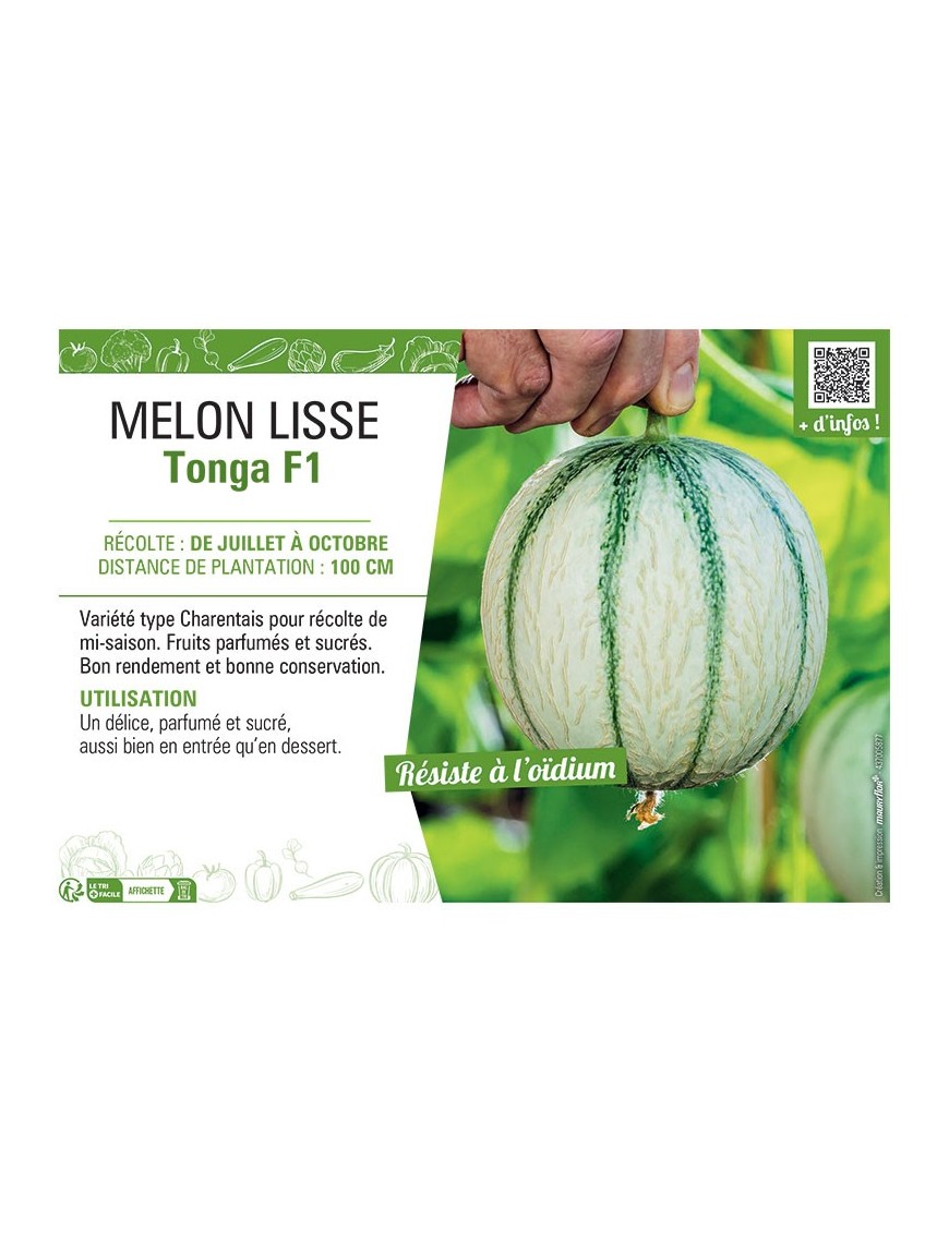 MELON LISSE TONGA F1