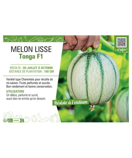 MELON LISSE TONGA F1