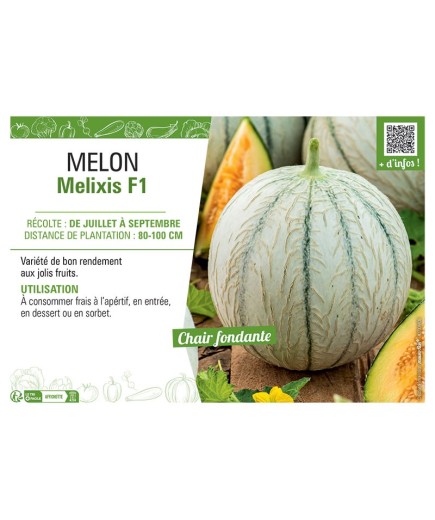 MELON MELIXIS F1