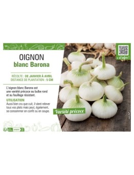OIGNON BLANC BARONA