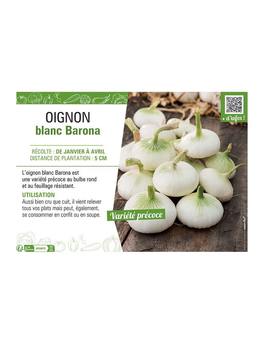 OIGNON BLANC BARONA