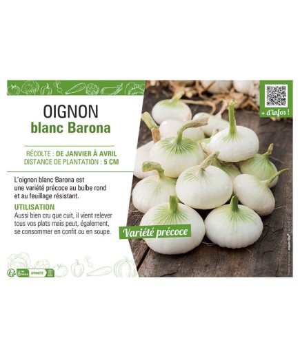 OIGNON BLANC BARONA