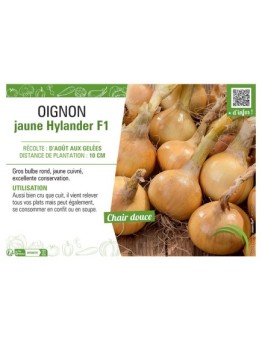 OIGNON JAUNE HYLANDER F1