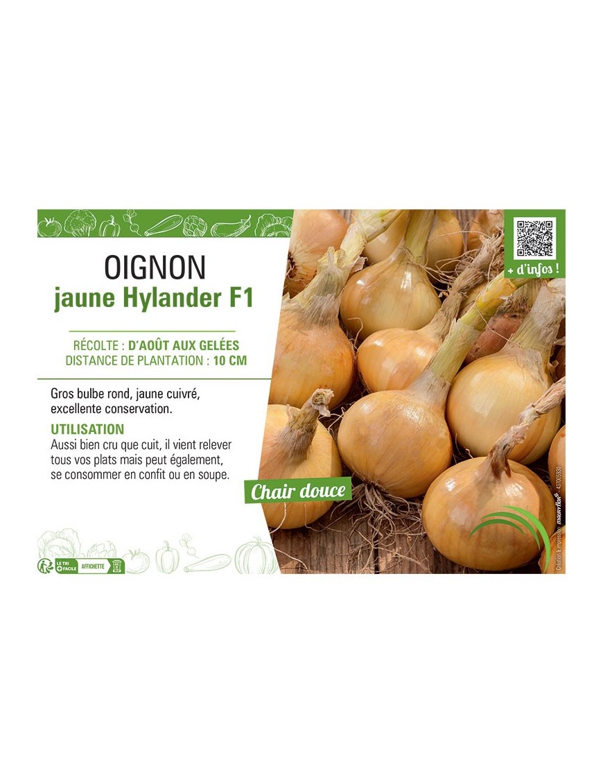 OIGNON JAUNE HYLANDER F1