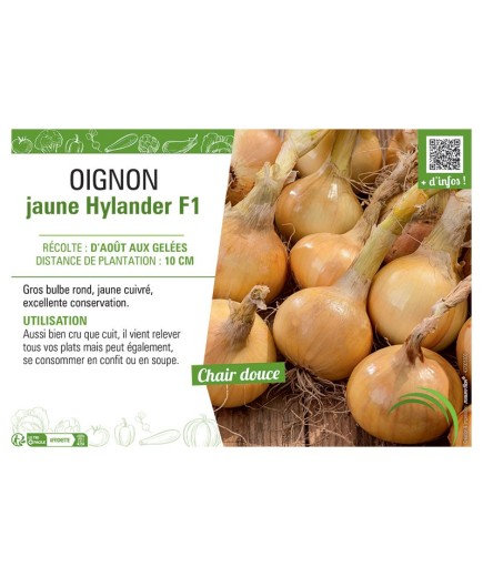 OIGNON JAUNE HYLANDER F1