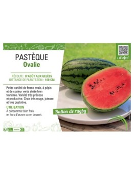 PASTÈQUE OVALIE