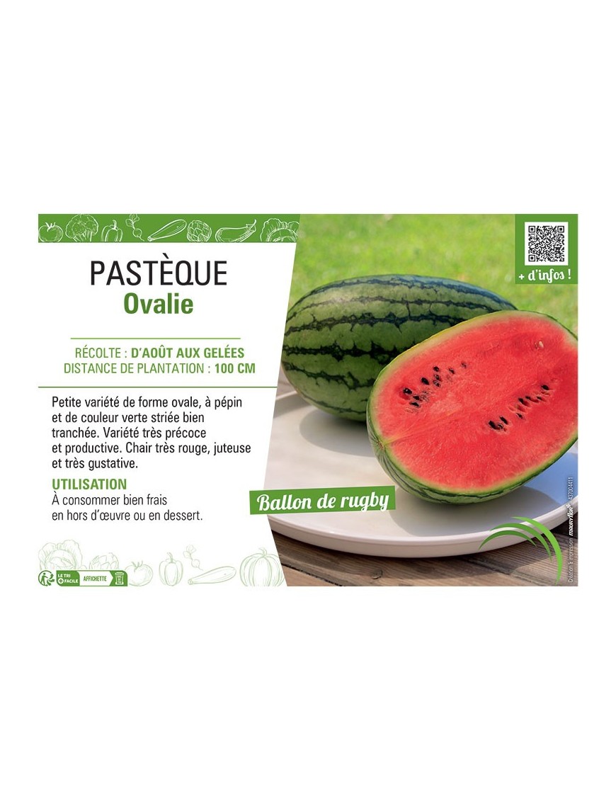 PASTÈQUE OVALIE