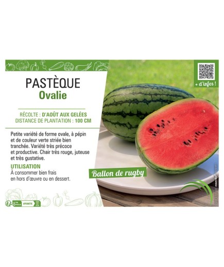 PASTÈQUE OVALIE