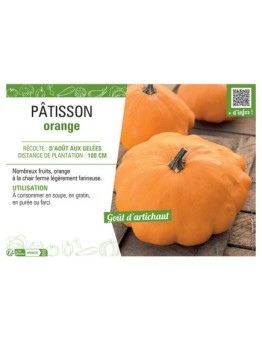 PÂTISSON ORANGE
