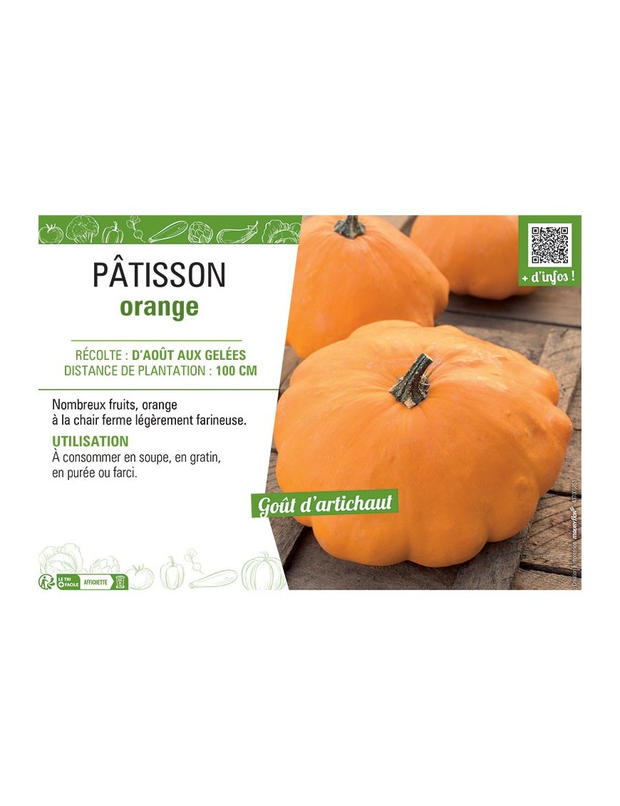 PÂTISSON ORANGE