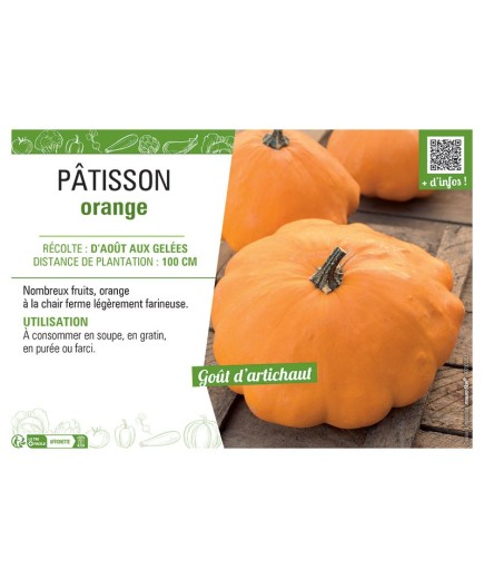 PÂTISSON ORANGE
