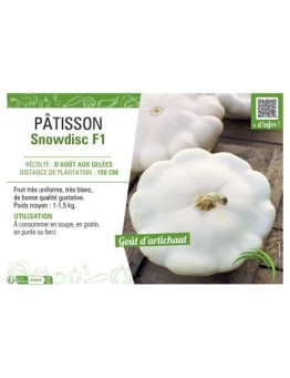 PÂTISSON SNOWDISC