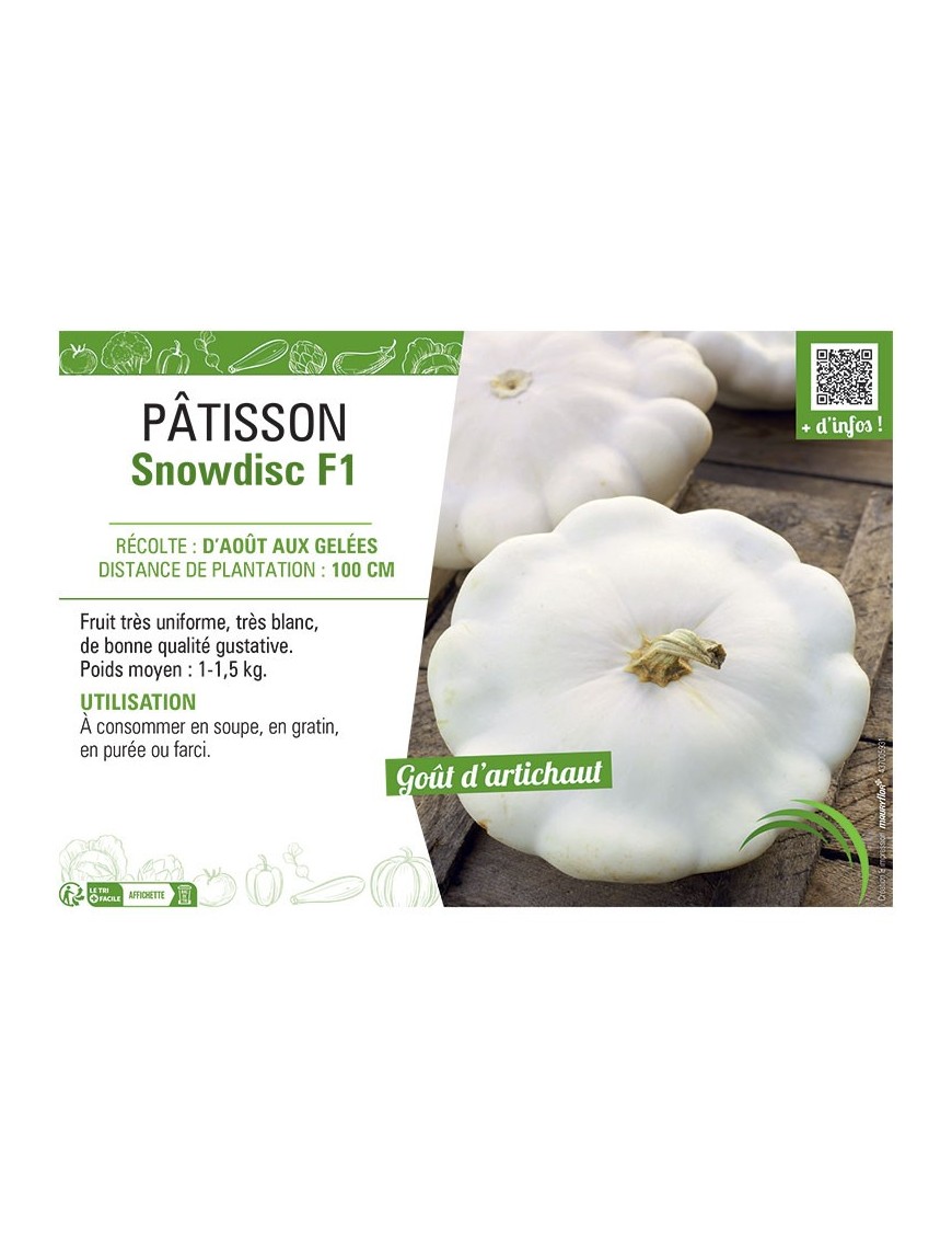 PÂTISSON SNOWDISC