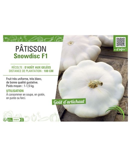 PÂTISSON SNOWDISC