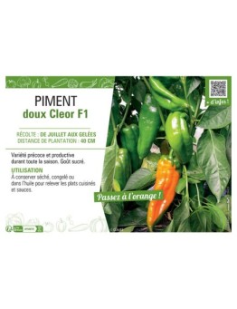 PIMENT CLEOR F1