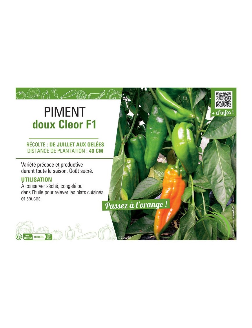 PIMENT CLEOR F1