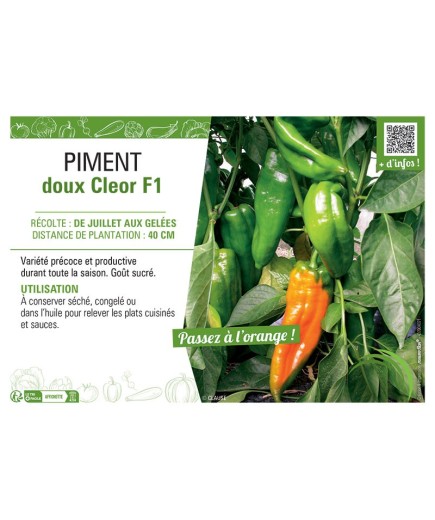 PIMENT CLEOR F1