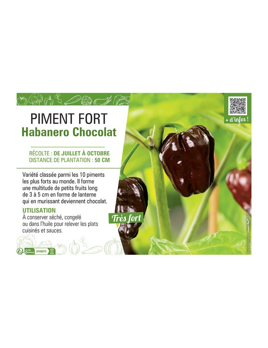 PIMENT FORT HABANERO CHOCOLAT