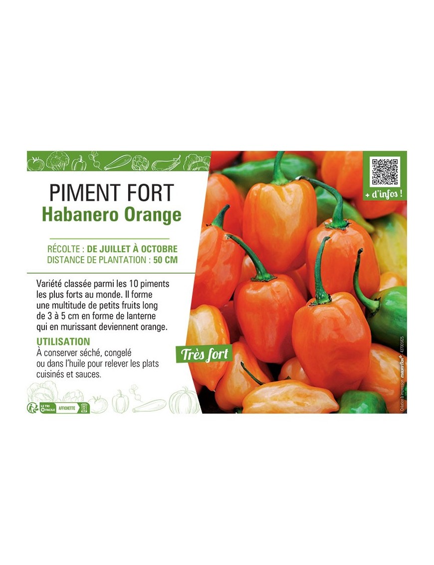 PIMENT FORT HABANERO ORANGE