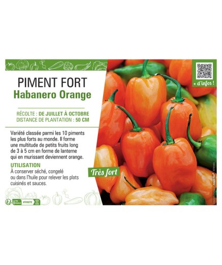 PIMENT FORT HABANERO ORANGE