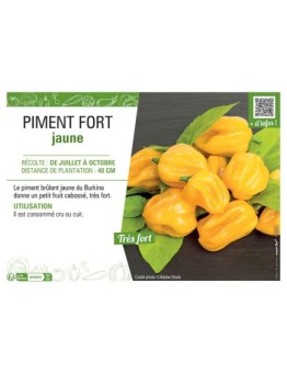 PIMENT FORT JAUNE