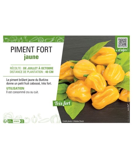 PIMENT FORT JAUNE