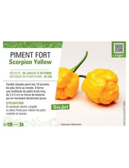PIMENT FORT SCORPION YELLOW