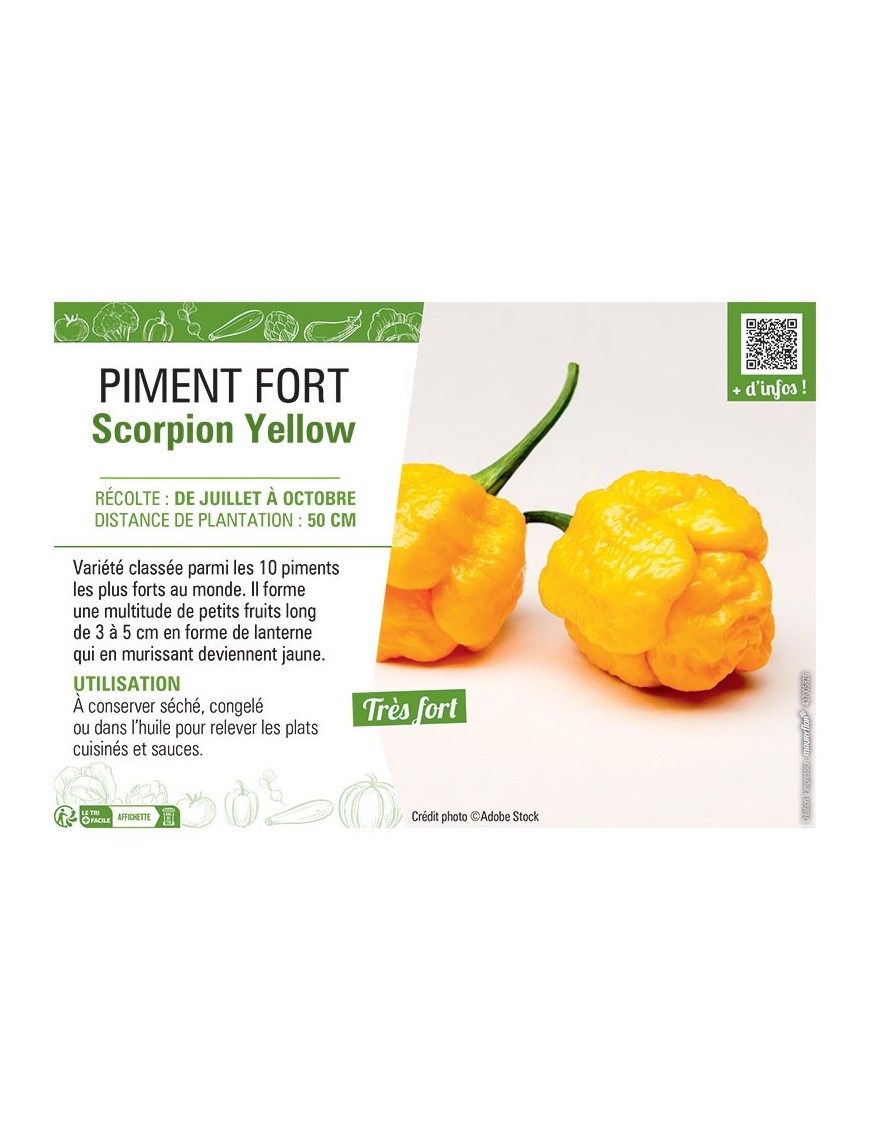 PIMENT FORT SCORPION YELLOW