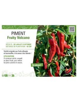 PIMENT FRUITY VOLCANO