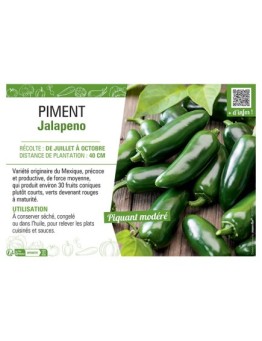PIMENT JALAPENO