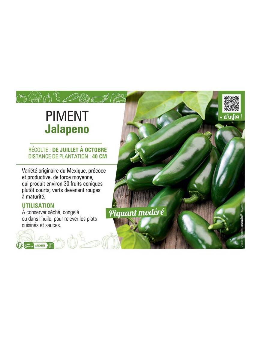 PIMENT JALAPENO
